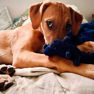 Meet your Posher, Evangeline